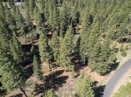 15375 Kent Drive, Truckee, CA 96161 Photo