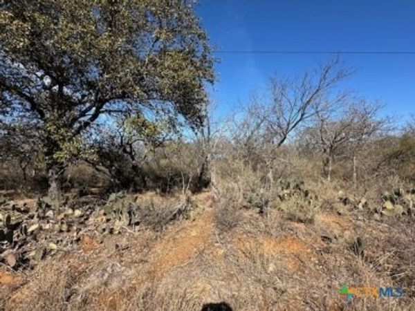 0 TBD Cedar Drive, Granite Shoals, TX 78654