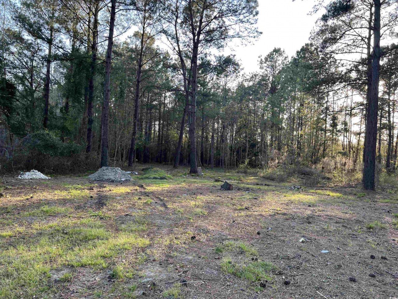 2108 Lees Landing Circle Photo 12