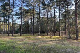 2108 Lees Landing Circle photo 4