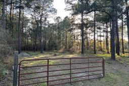 2108 Lees Landing Circle photo 4