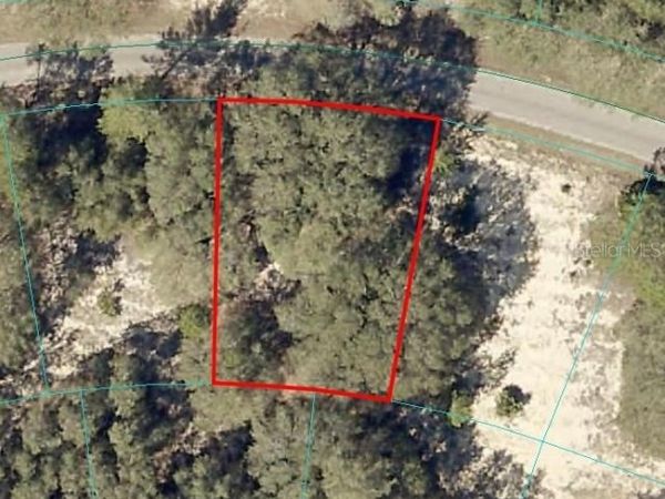 FISHER WAY COURSE, OCKLAWAHA, FL 32179