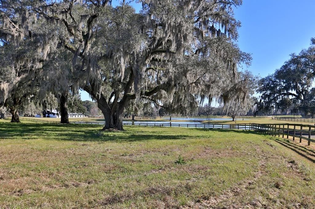 12853 NW 90th Avenue, Reddick, FL 32686 Photo