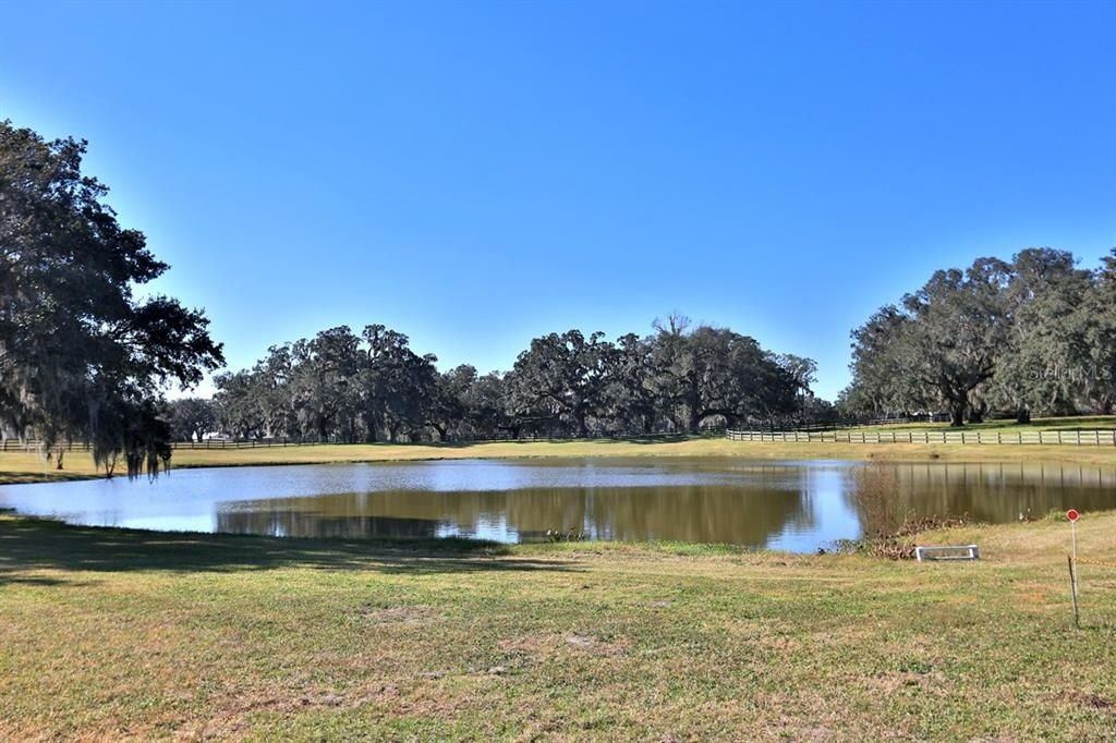 12853 NW 90th Avenue, Reddick, FL 32686 Photo