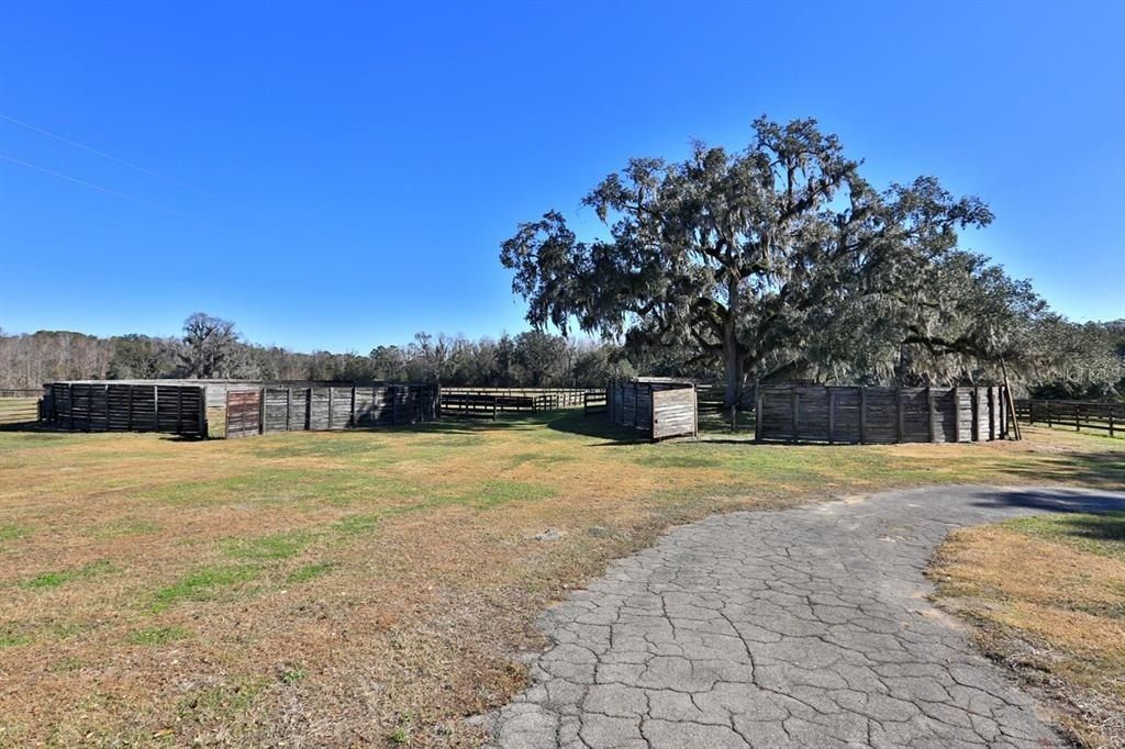 12853 NW 90th Avenue, Reddick, FL 32686 Photo