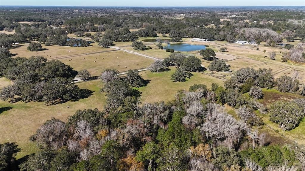 12853 NW 90th Avenue, Reddick, FL 32686 Photo