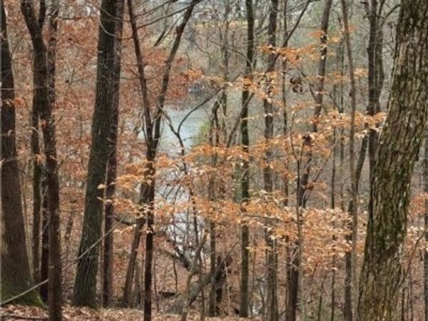 6638 Waterfront Drive, Tuscaloosa, AL 35406