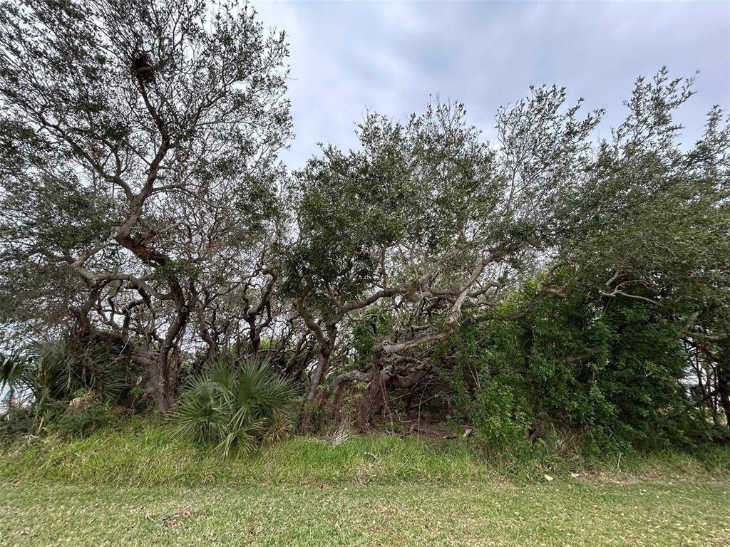 River Road, New Smyrna Beach, FL 32169 Main Photo