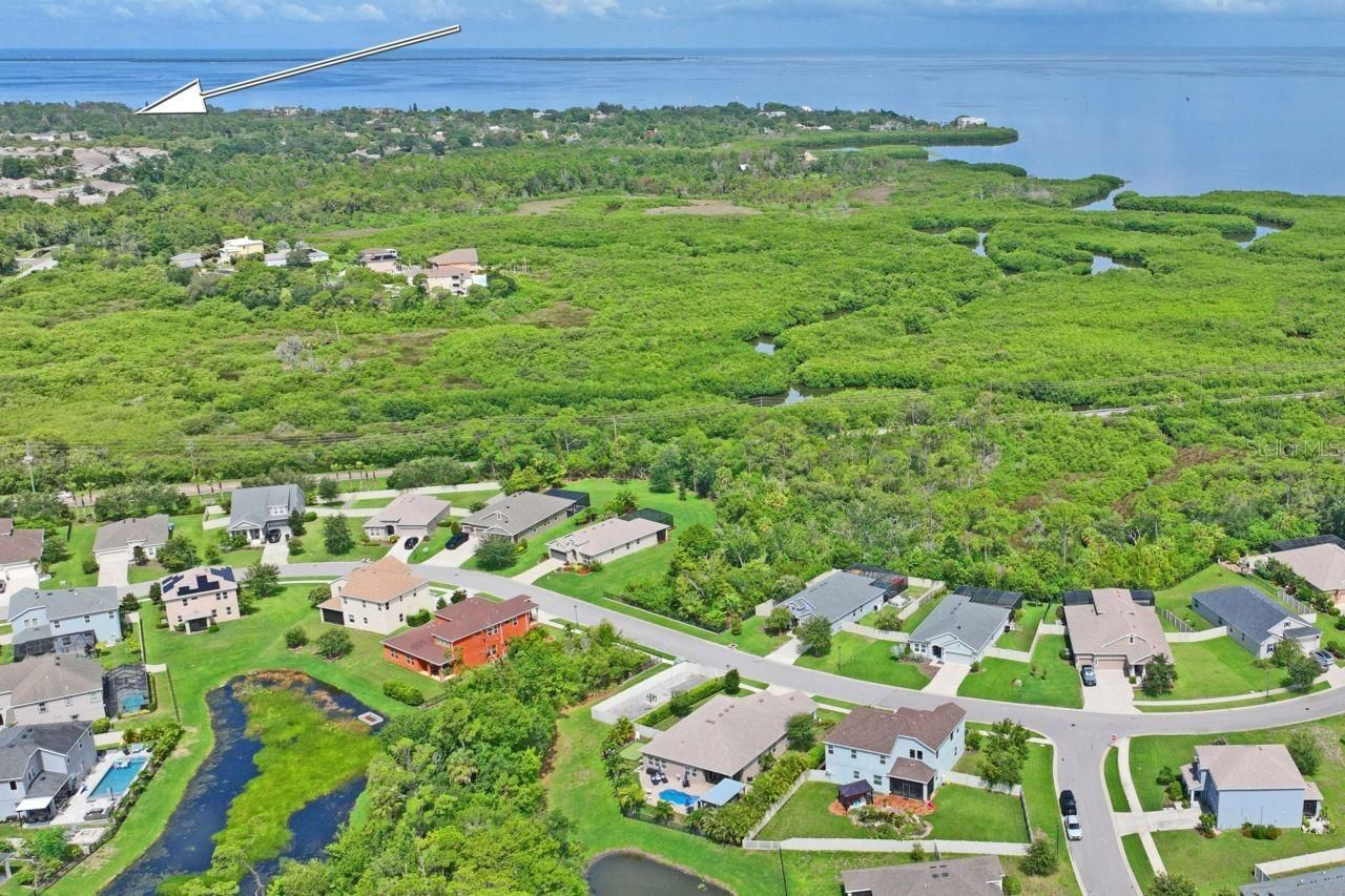 3238 Mela Court, Holiday, FL 34691 Photo