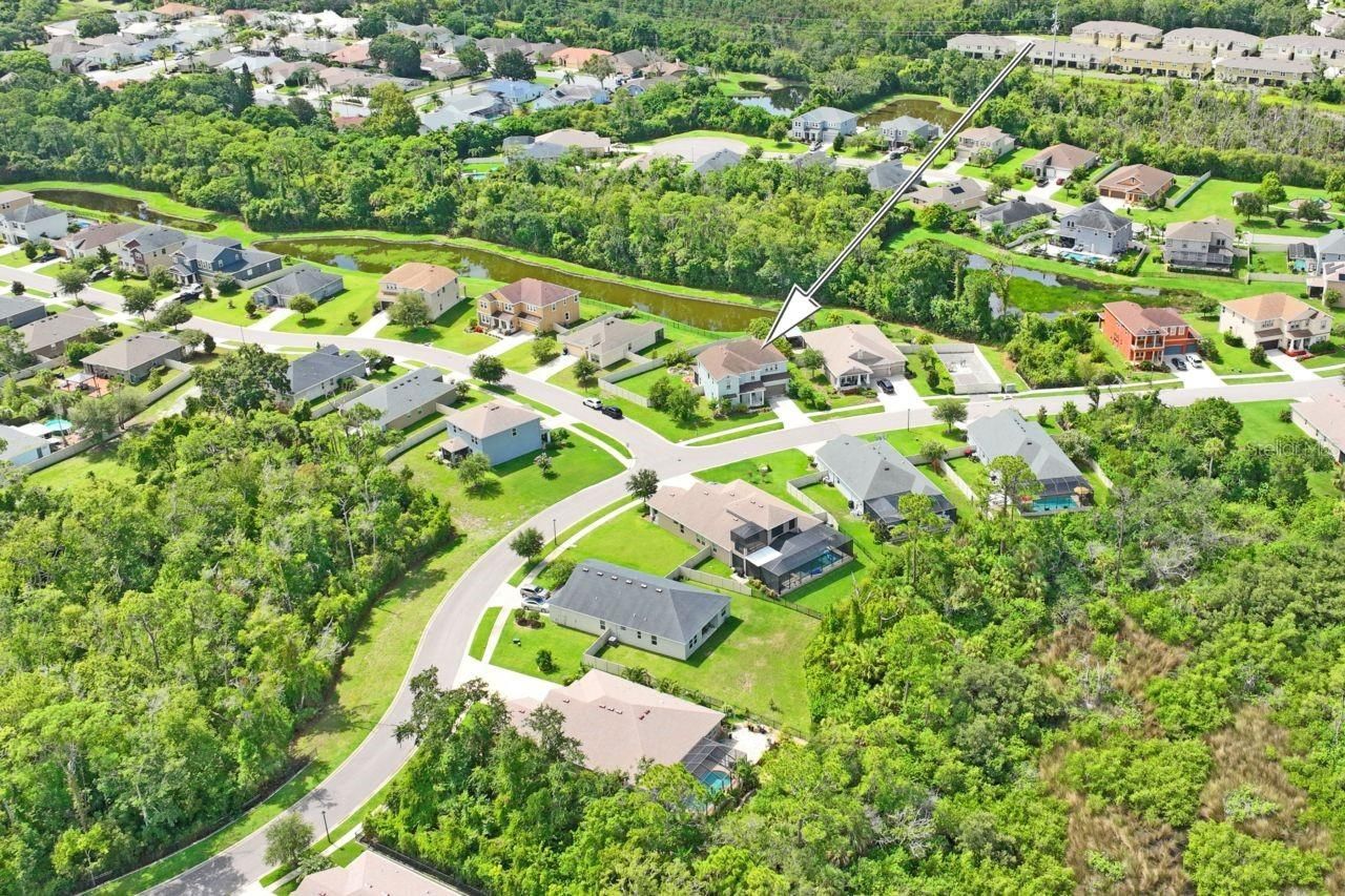 3238 Mela Court, Holiday, FL 34691 Photo