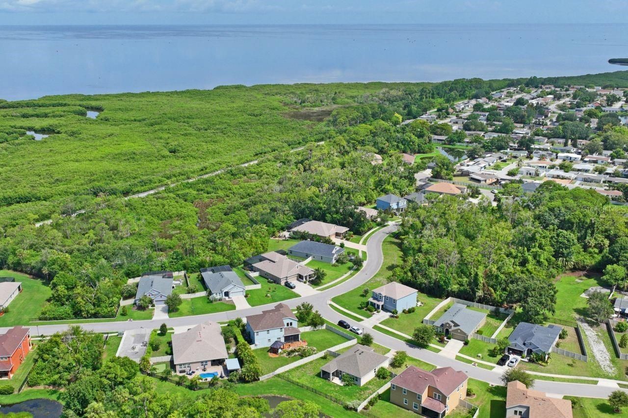 3238 Mela Court, Holiday, FL 34691 Photo