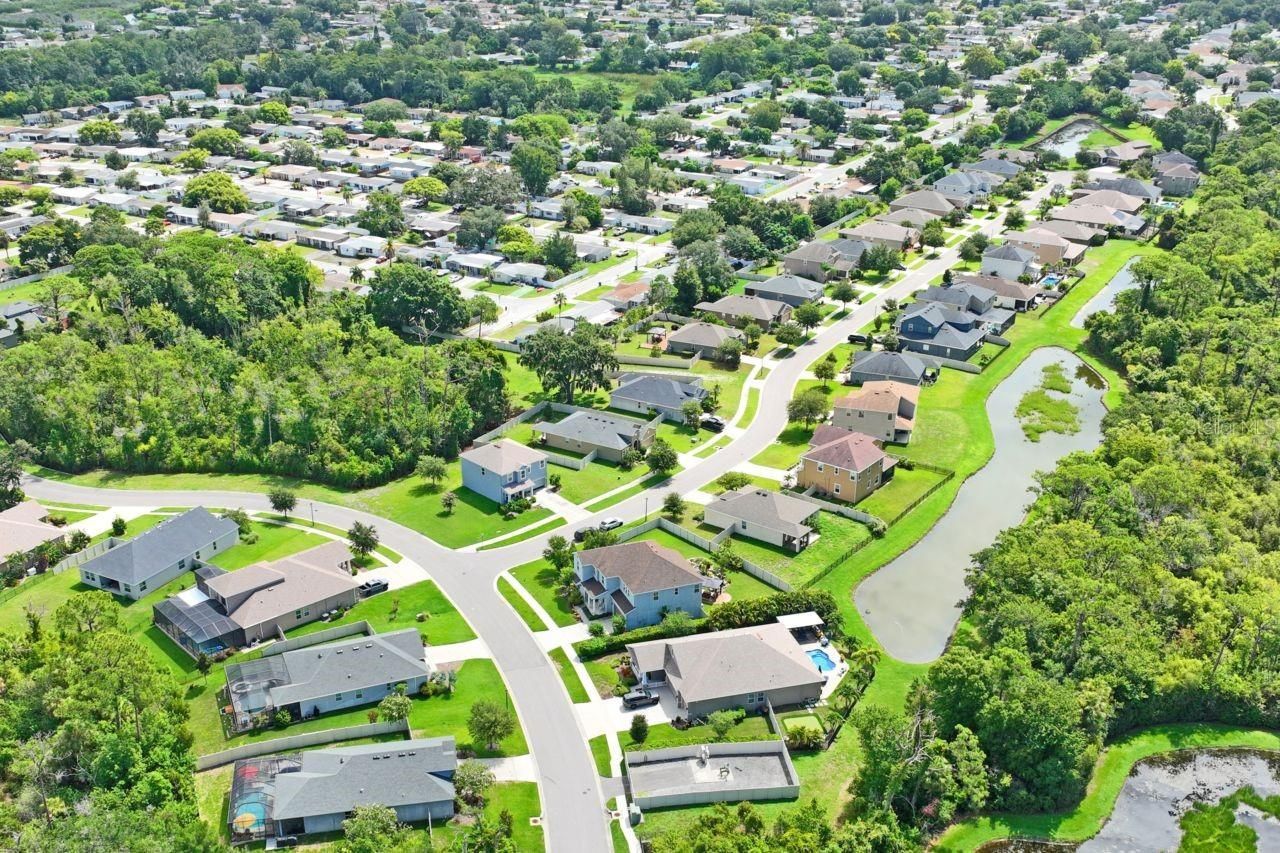 3238 Mela Court, Holiday, FL 34691 Photo