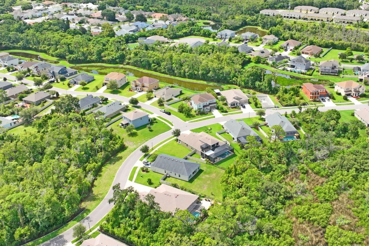 3238 Mela Court, Holiday, FL 34691 Photo