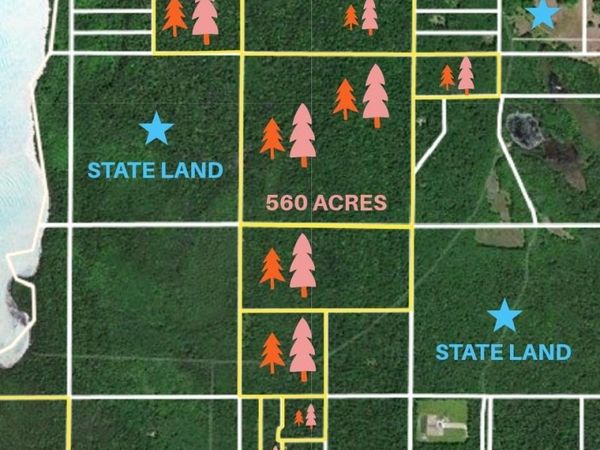 Beaver Island Road, Beaver Island, MI 49782