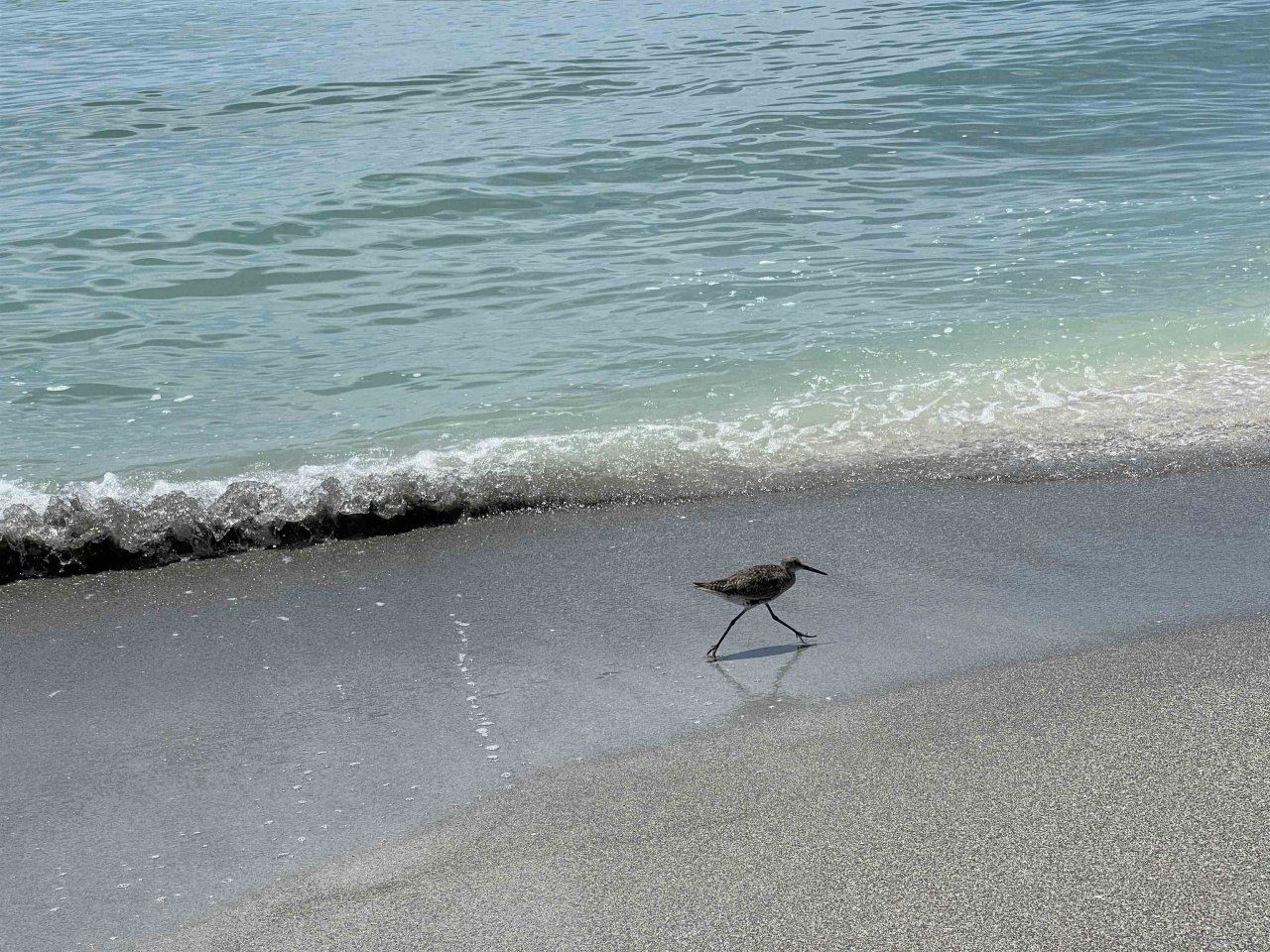 1408 Beach Cottages, Unit 1408, Captiva, FL 33924 Photo