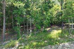 Lot 72 Timber Trail Lane photo 4