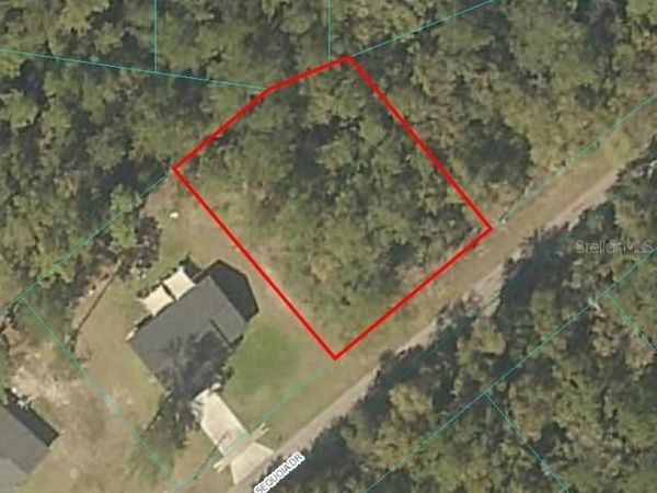 SEQUOIA DRIVE, OCKLAWAHA, FL 32179