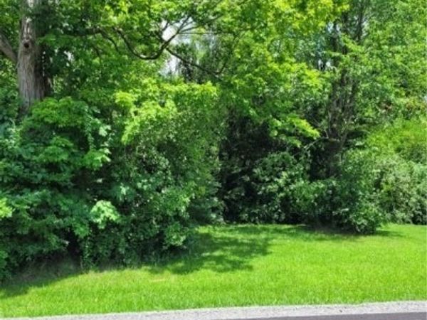 Townsend Avenue, Youngstown, OH 44505