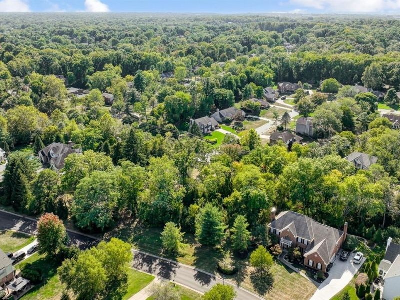 11403 Avant Lane, Symmes Township, OH 45249 Photo 3