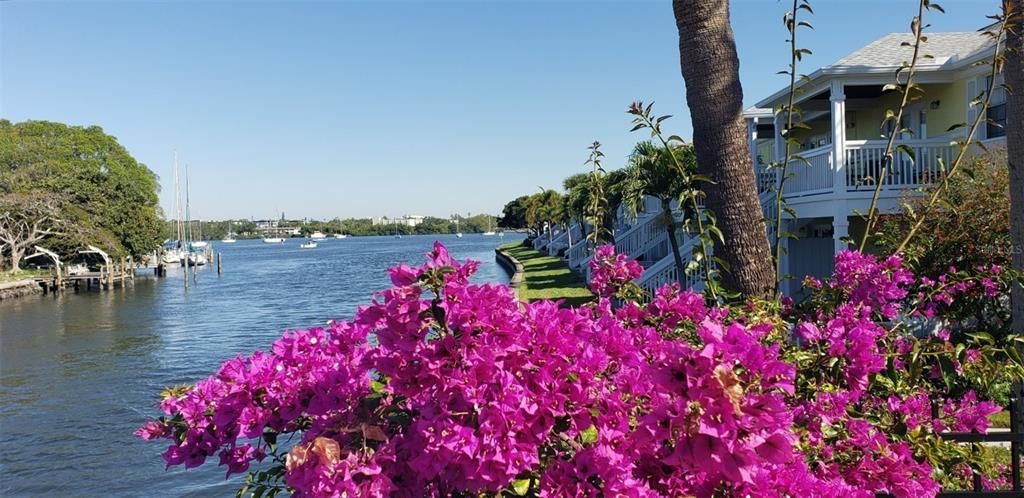 3889 Pompano Drive Se, Unit A, Saint Petersburg, FL 33705 Photo