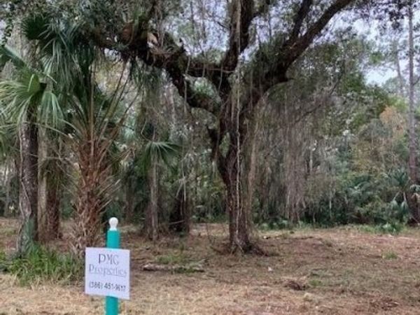 0 Shell Harbor Road, Pierson, FL 32180