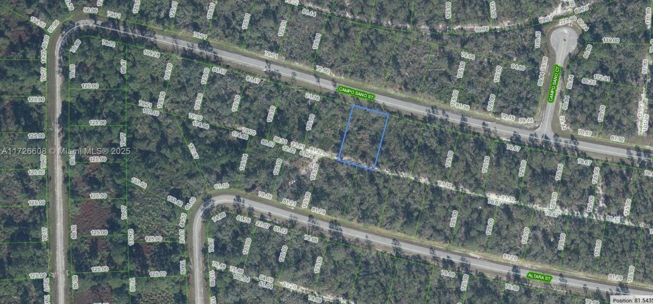 8005 Campo Sano Street, Sebring, FL 33872 Photo