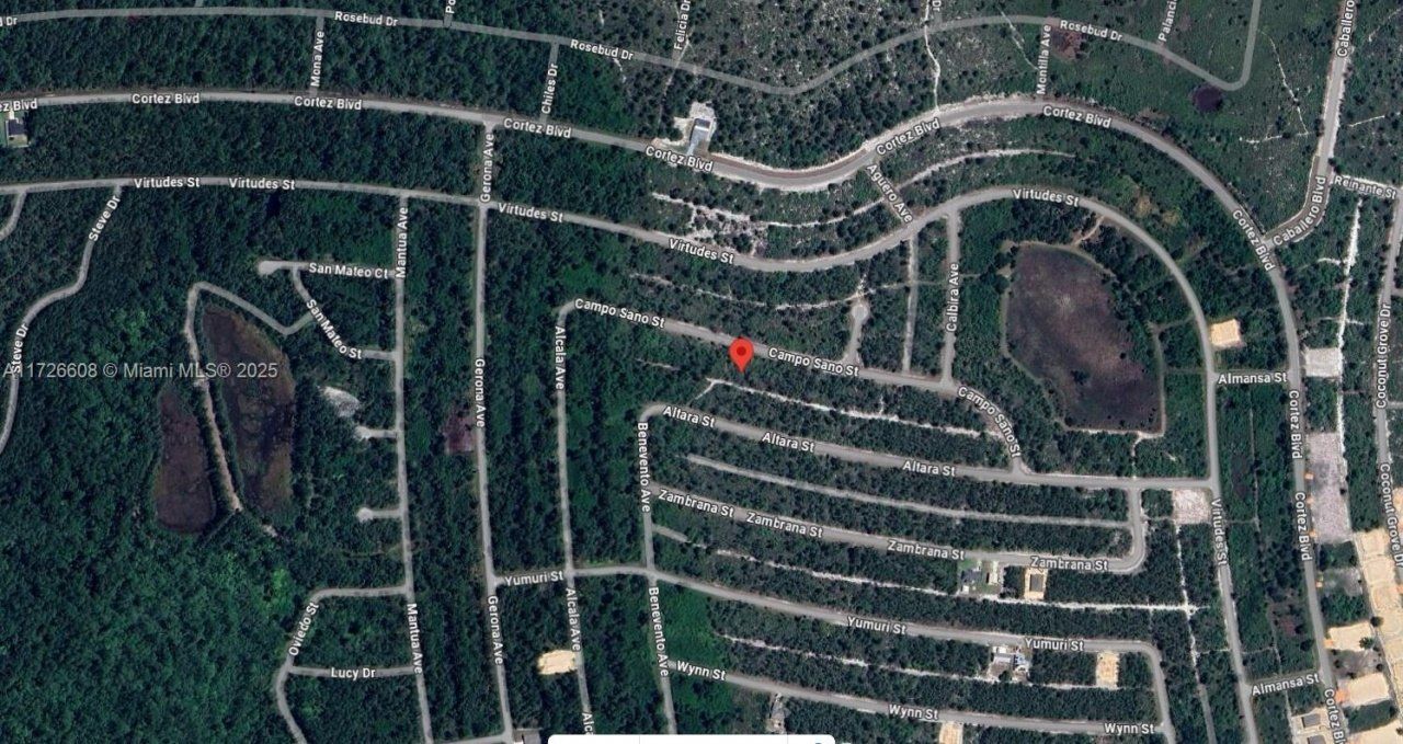 8005 Campo Sano Street, Sebring, FL 33872 Photo