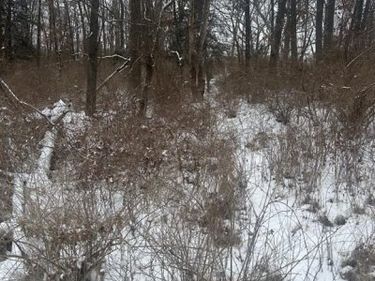 12840 LARKINS Road, Brighton Twp, MI 48114