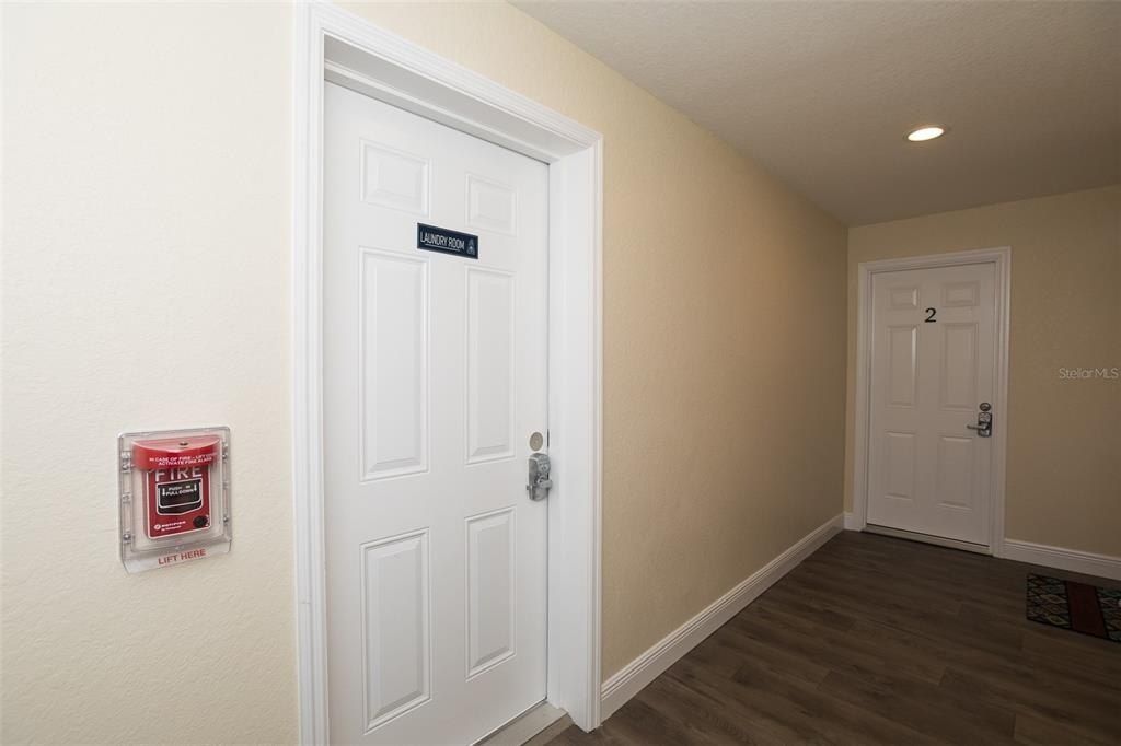 915 E Palmetto Street, Lakeland, FL 33801 Photo