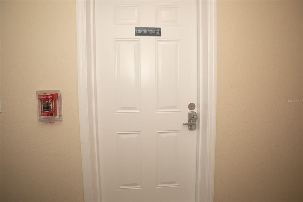 915 E Palmetto Street, Lakeland, FL 33801 Photo