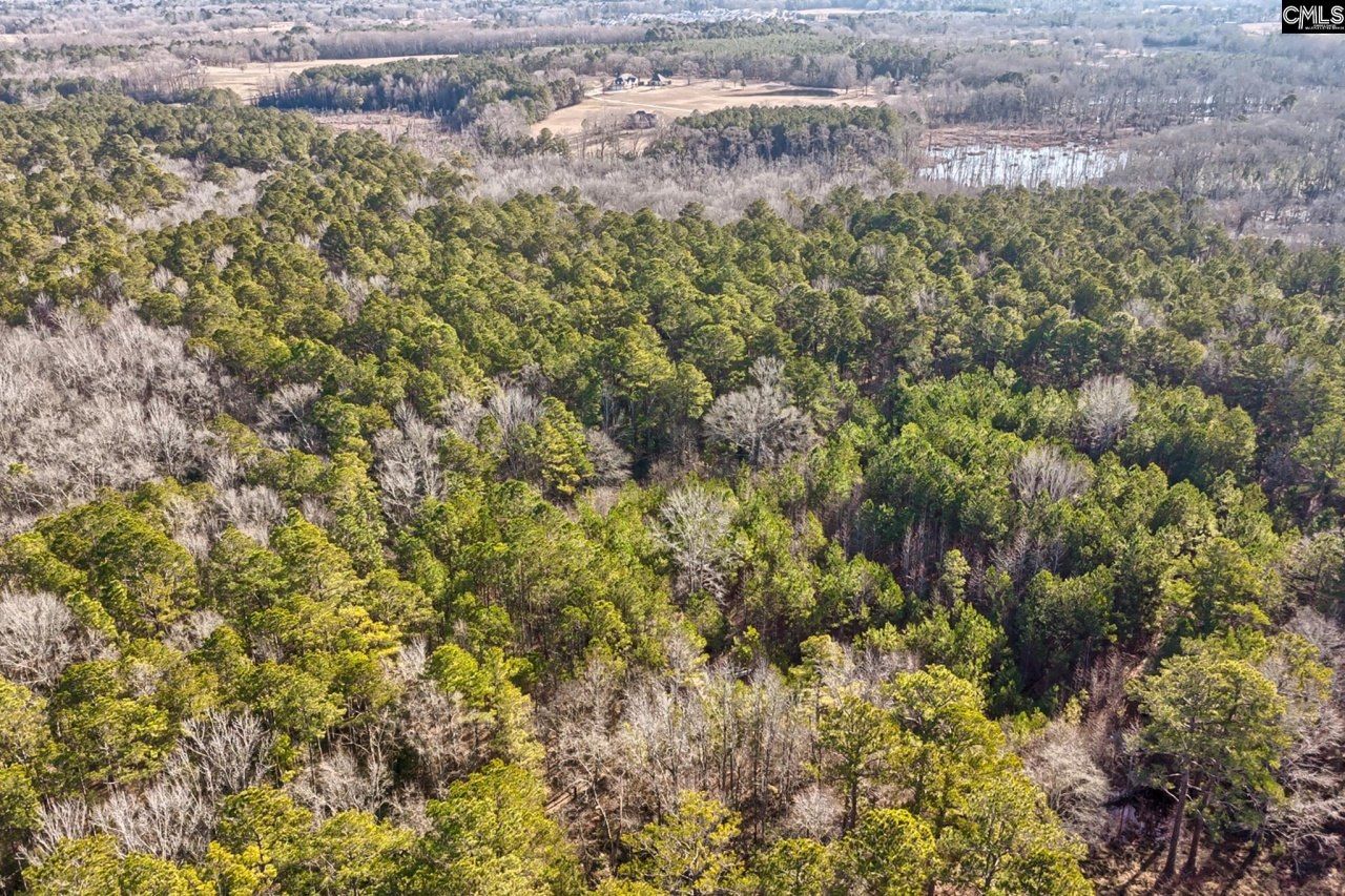 50 Thorn Way Photo 6