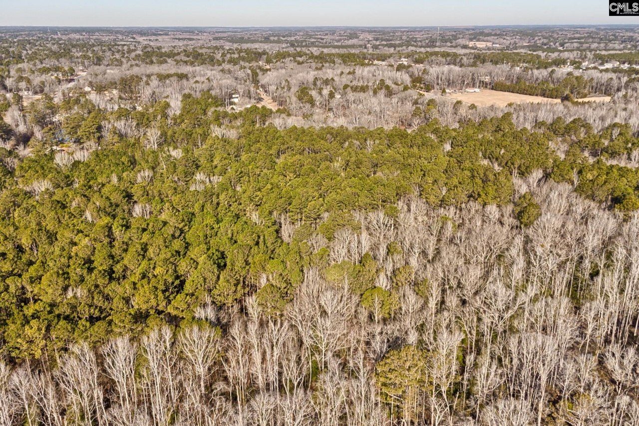 50 Thorn Way Photo 7