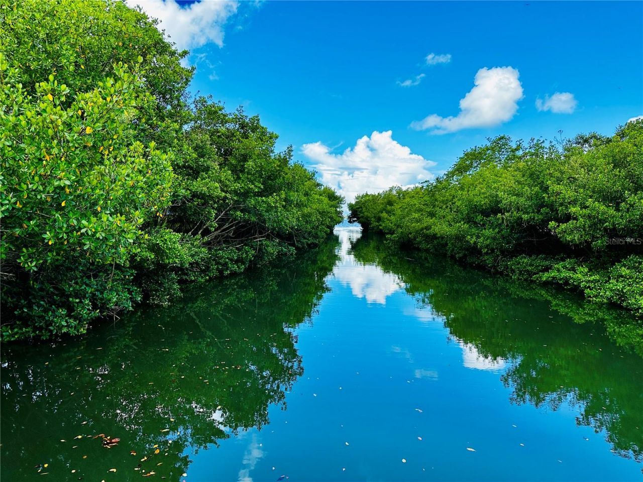 624 Goodrich Avenue, Sarasota, FL 34236 Photo