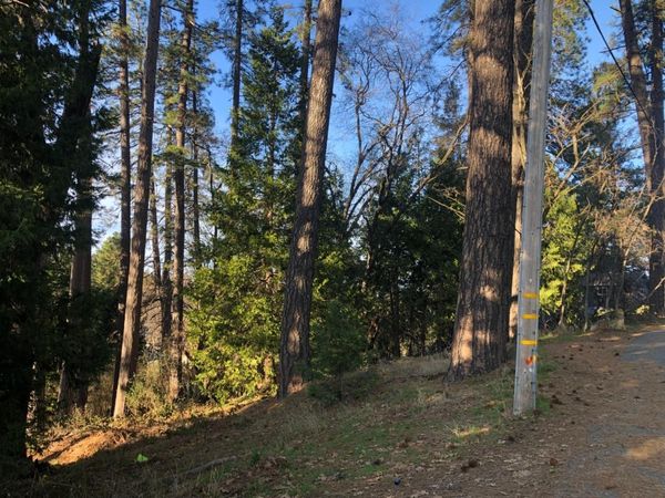 410-362 W Marshall St, Grass Valley, CA 95945