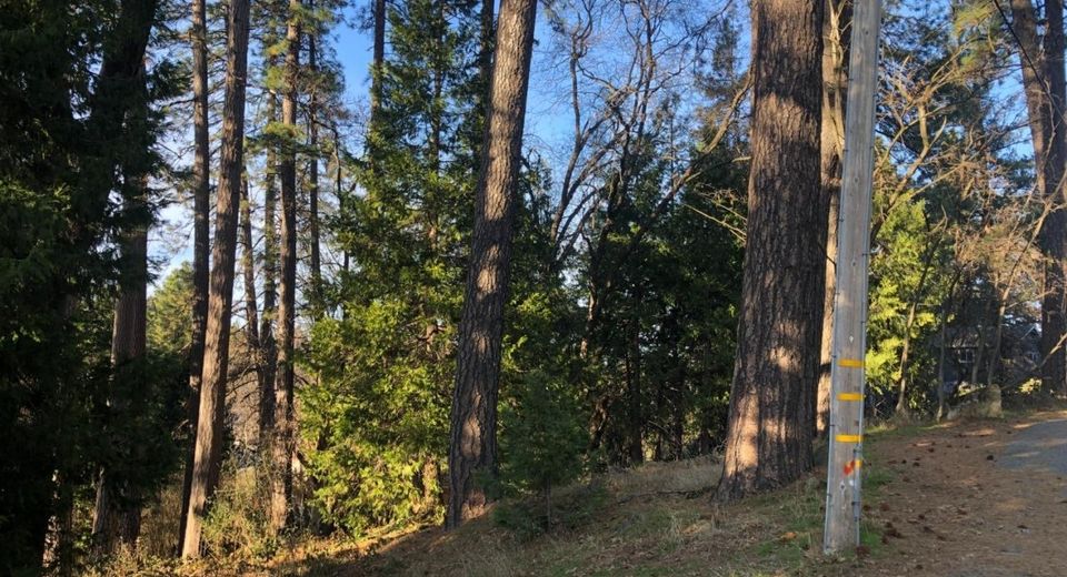 410-362 W Marshall St, Grass Valley, CA 95945 Photo