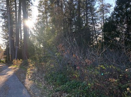 410-362 W Marshall St, Grass Valley, CA 95945 Photo