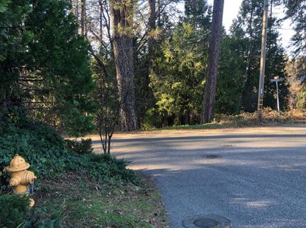 410-362 W Marshall St, Grass Valley, CA 95945 Photo