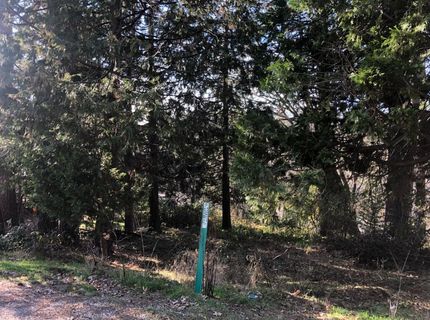 410-362 W Marshall St, Grass Valley, CA 95945 Photo