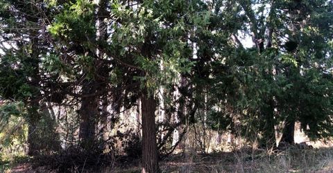 410-362 W Marshall St, Grass Valley, CA 95945 Photo