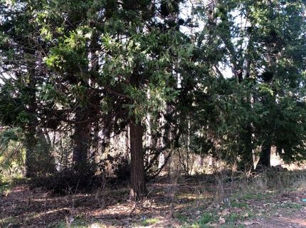 410-362 W Marshall St, Grass Valley, CA 95945 Photo