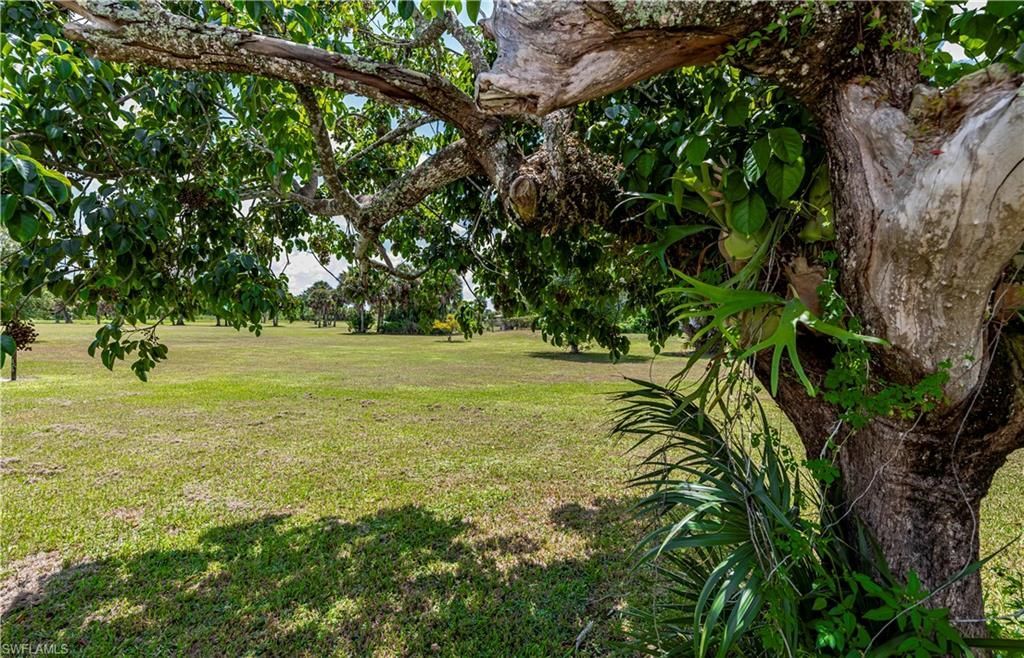 1038 Seminole Cir, Moore Haven, FL 33471 Photo