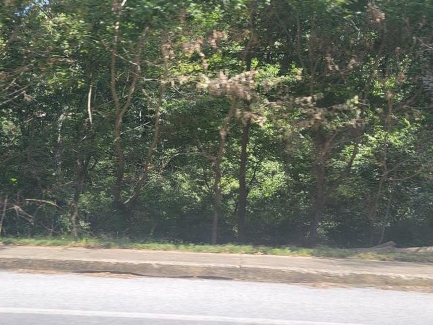 31 S Duke Street, Millersville, PA 17551 Main Photo