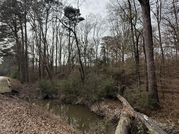 01 N Jordan Street, Carthage, MS 39051