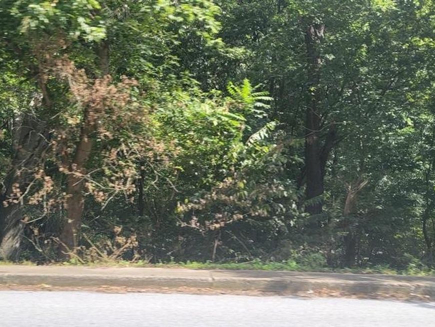 32 S Duke Street, Millersville, PA 17551 Main Photo