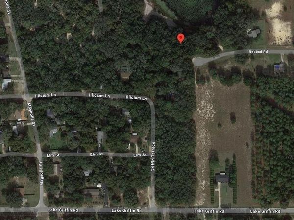 TBD REDBUD ROAD, LADY LAKE, FL 32159