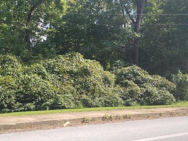 66 SLACKWATER, MILLERSVILLE, PA 17551