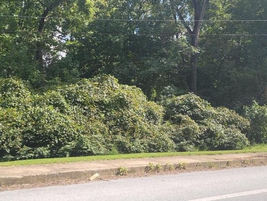 66 Slackwater, Millersville, PA 17551 Main Photo