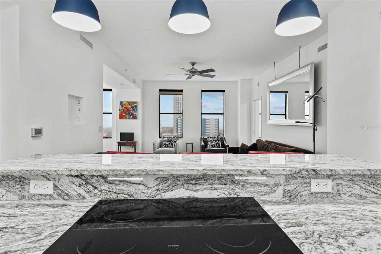 226 5th Avenue N, Unit 1106, Saint Petersburg, FL 33701 Photo