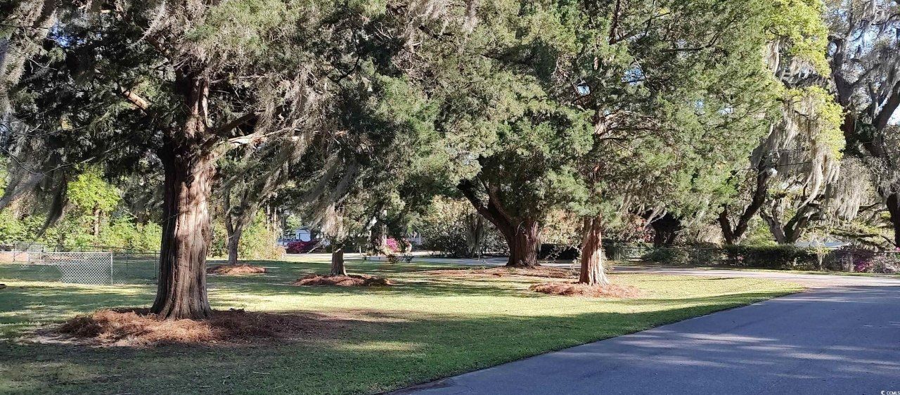 26 Gladding St. Photo 7