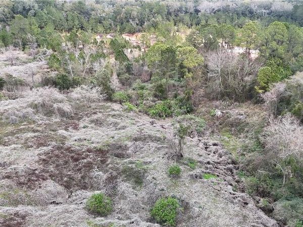 0 Rester Road, Theodore, AL 36582